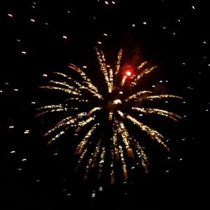 Meet your Posher, Elaine